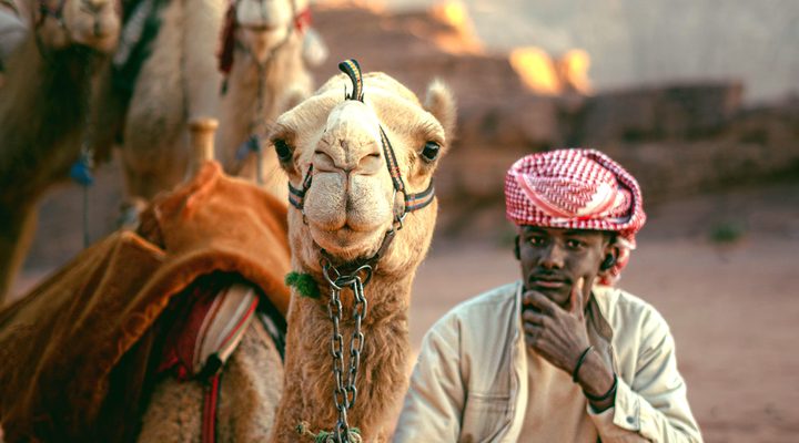 Camel