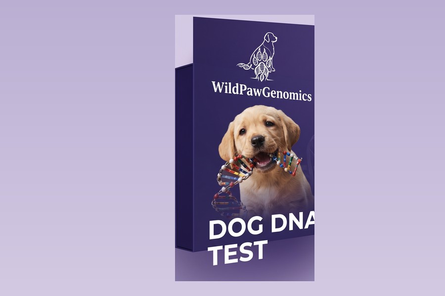 ערכת בדיקת ה-DNA של WildPaw Genomics לצד דוח התוצאות